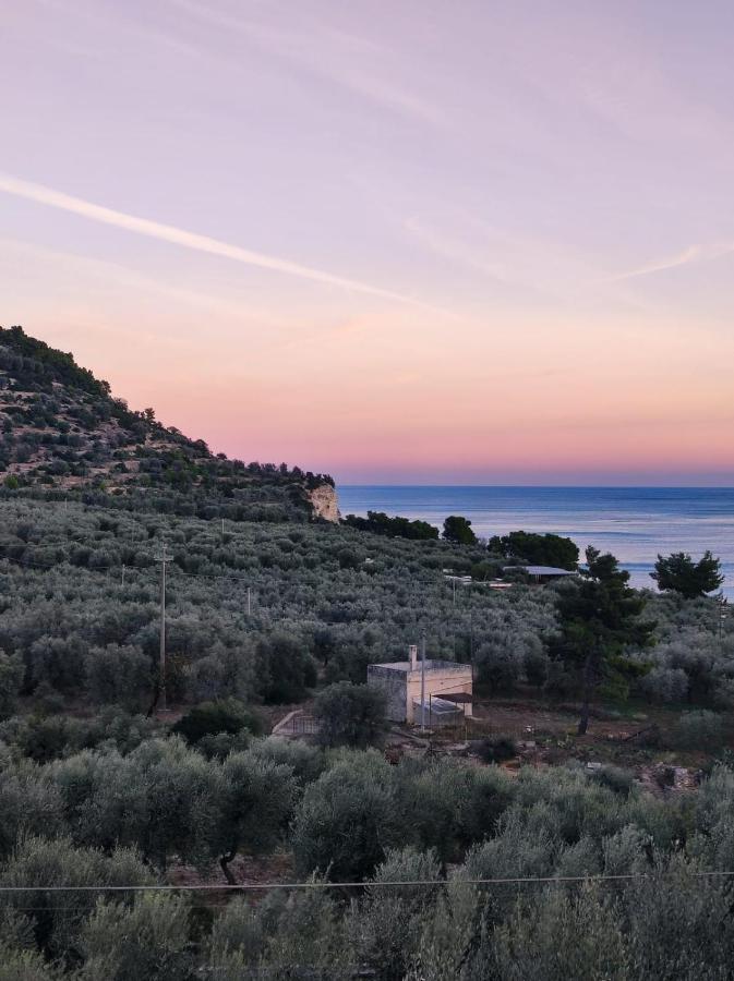 Dimora Mediterranea Mattinata Dış mekan fotoğraf