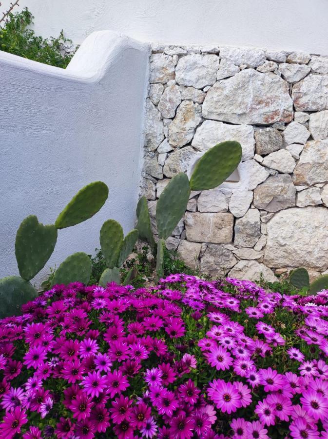 Dimora Mediterranea Mattinata Dış mekan fotoğraf