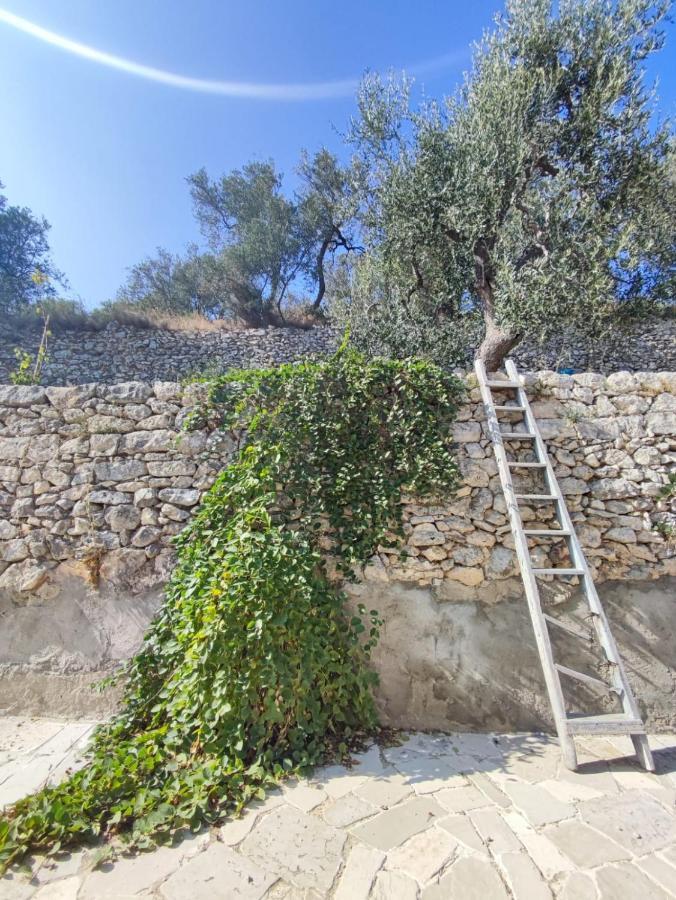 Dimora Mediterranea Mattinata Dış mekan fotoğraf