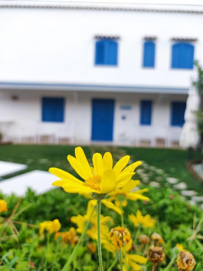 Dimora Mediterranea Mattinata Dış mekan fotoğraf