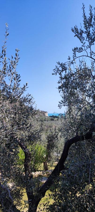 Dimora Mediterranea Mattinata Dış mekan fotoğraf